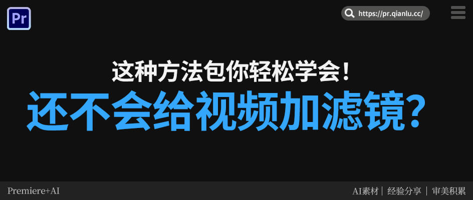 Pr还不会给视频加滤镜？这种方法10s包你轻松学会！