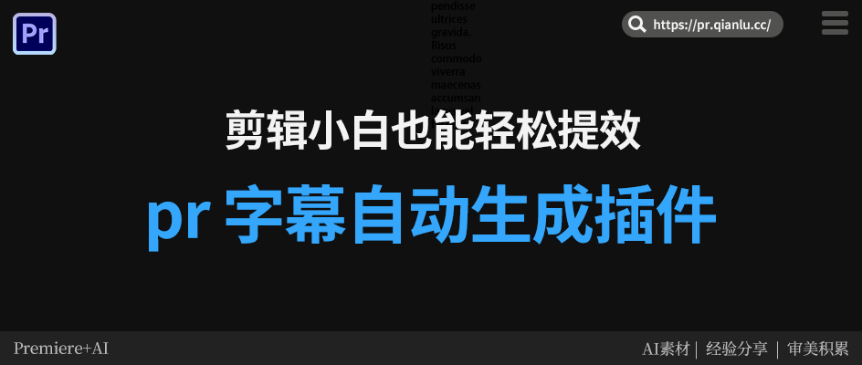 pr 字幕自动生成插件推荐:剪辑小白也能轻松提效