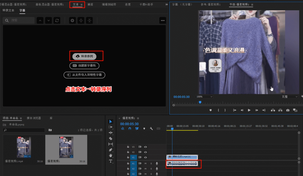 在pr中的音频转文本