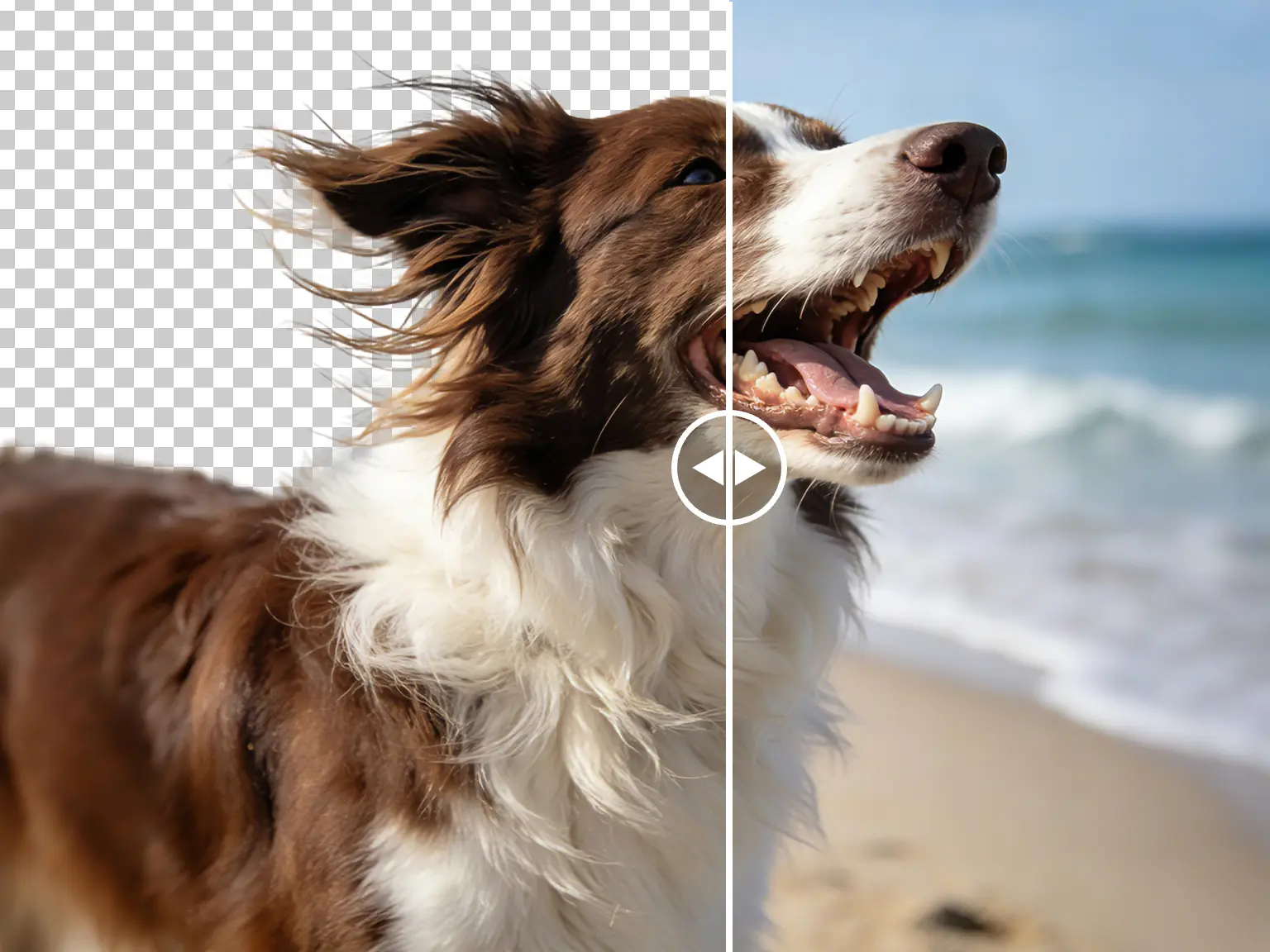 在线免费AI抠图工具，3秒极速完成抠图，发丝级的精细抠图配图