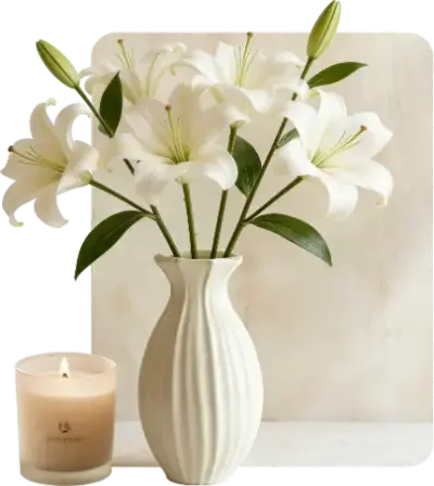 电商图片去除水印效果展示