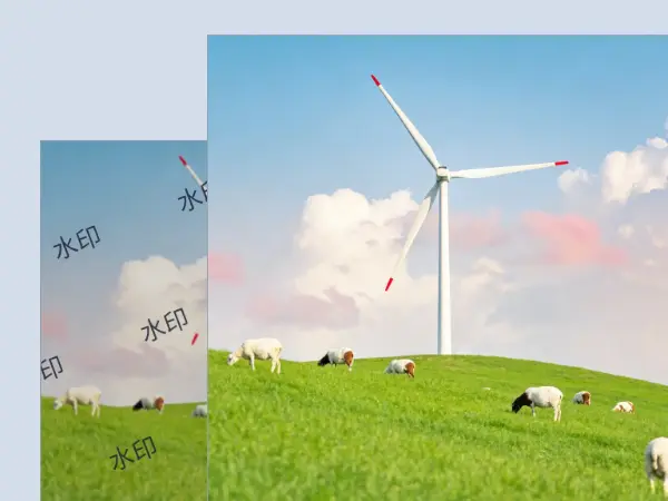 网页插图去水印效果展示