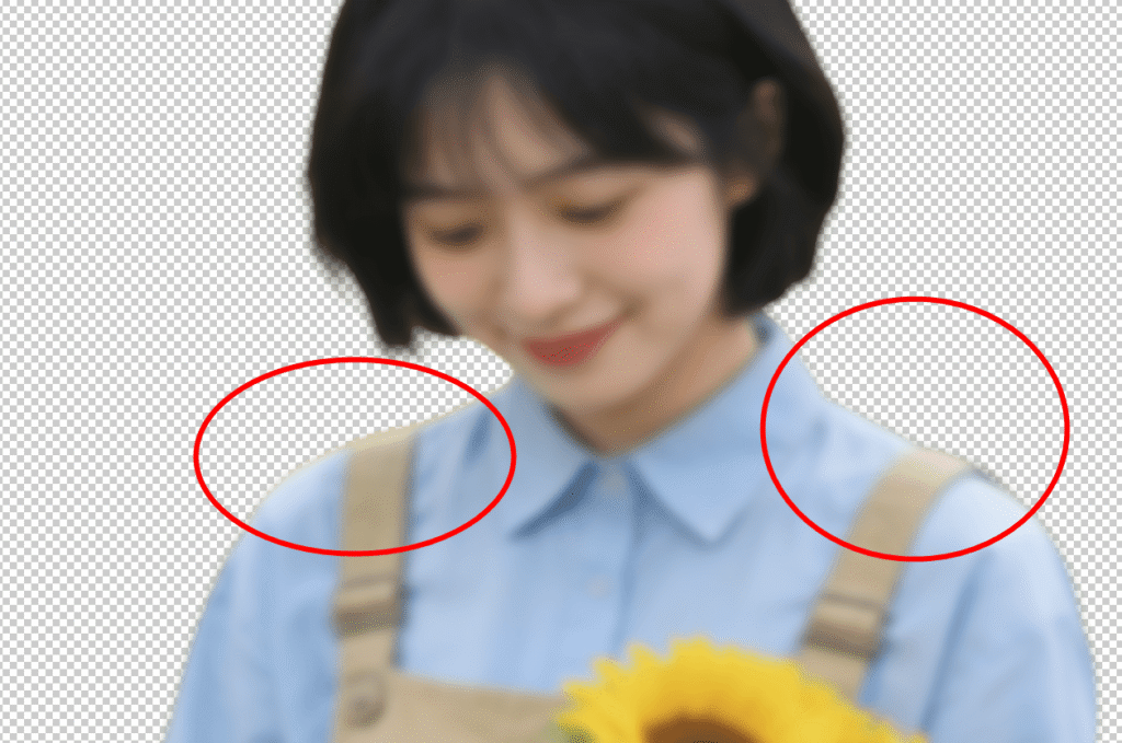 抠图去北京后检查边缘细节处